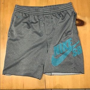Nike SB Dri-Fit Shorts